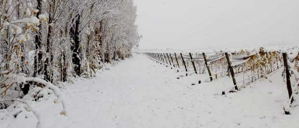 La nieve sigue como protagonista en Mendoza
