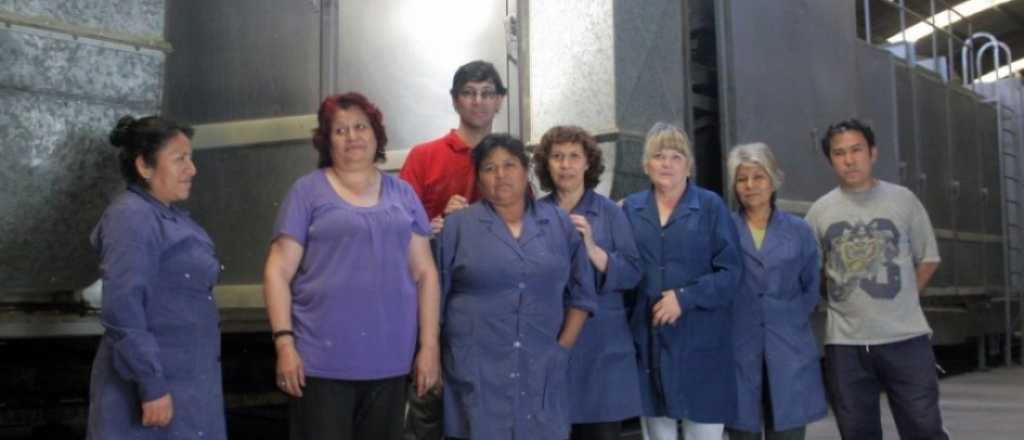 El Senado discutir&aacute; la expropiaci&oacute;n de la ex Industrias Matas