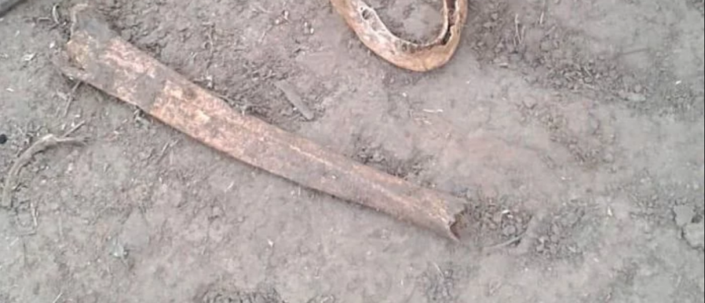 Encontraron huesos humanos en una finca en San Rafael