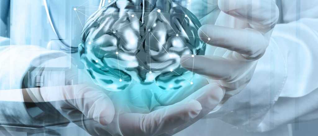 Neurocirug&iacute;a militar: derribando mitos y apostando al futuro