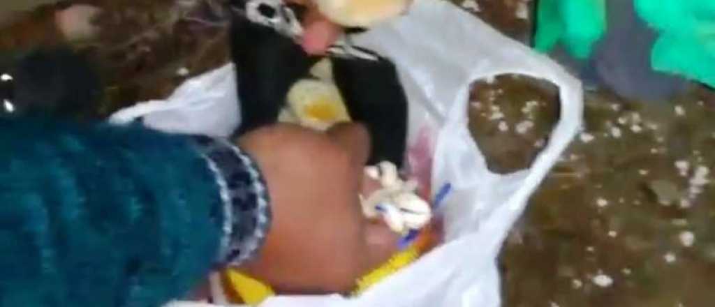Encontraron huesos de bebés en una camioneta que venía a Mendoza