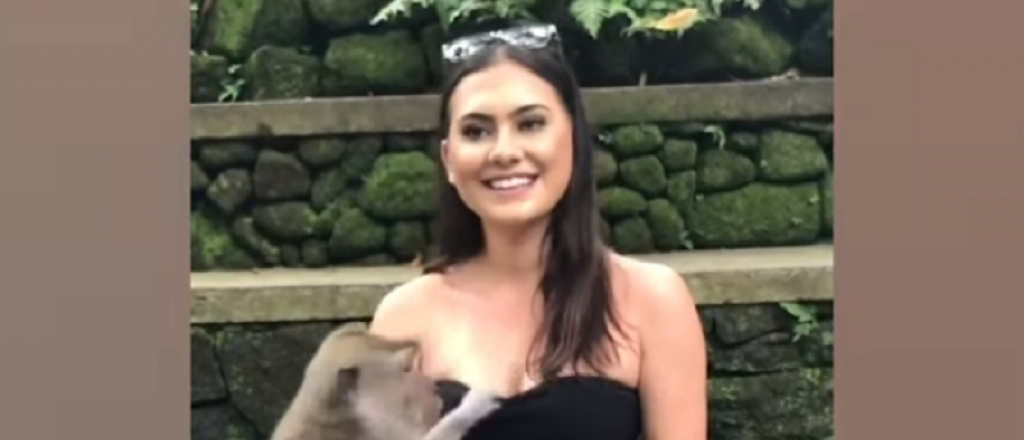 Video: mono depravado desviste a una turista