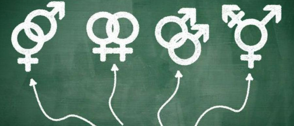 "Busca aniquilar la naturaleza": el Vaticano cuestiona la "ideología de género"