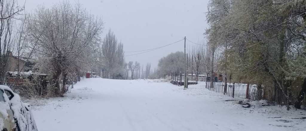 Postales de la nieve en Mendoza