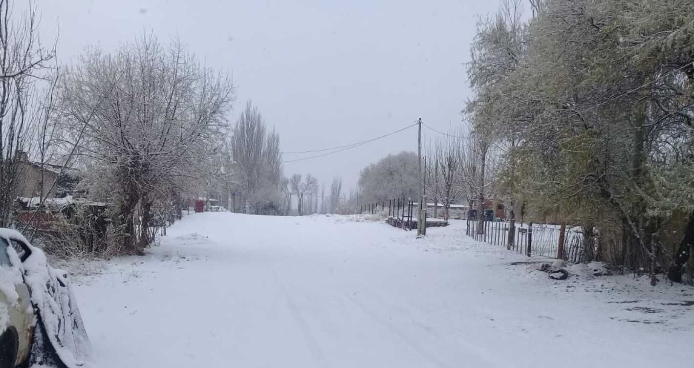 VIDEO Cae nieve en el Ajusco y así luce el paisaje