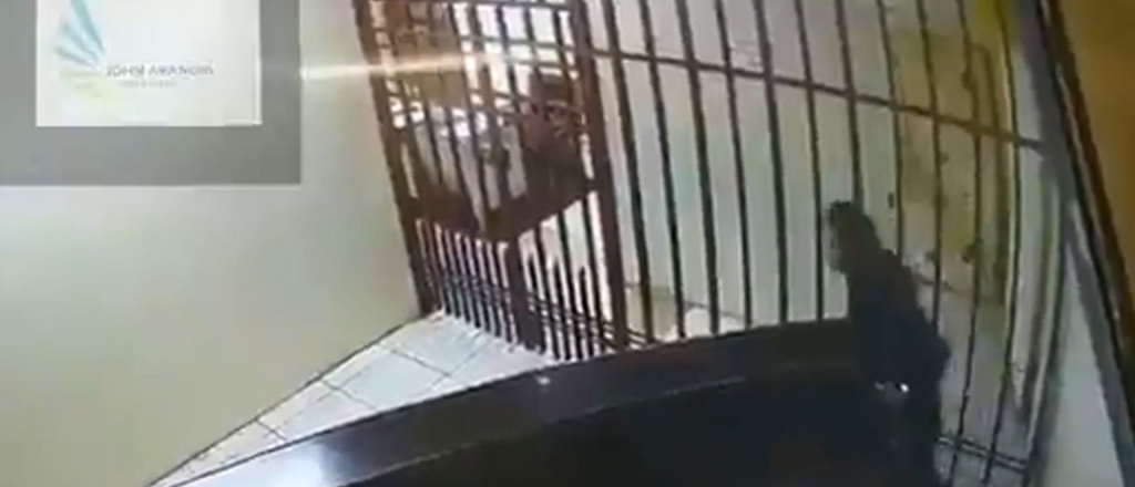 Insólito video: ladrón muy flaco escapó de la cárcel entre los barrotes