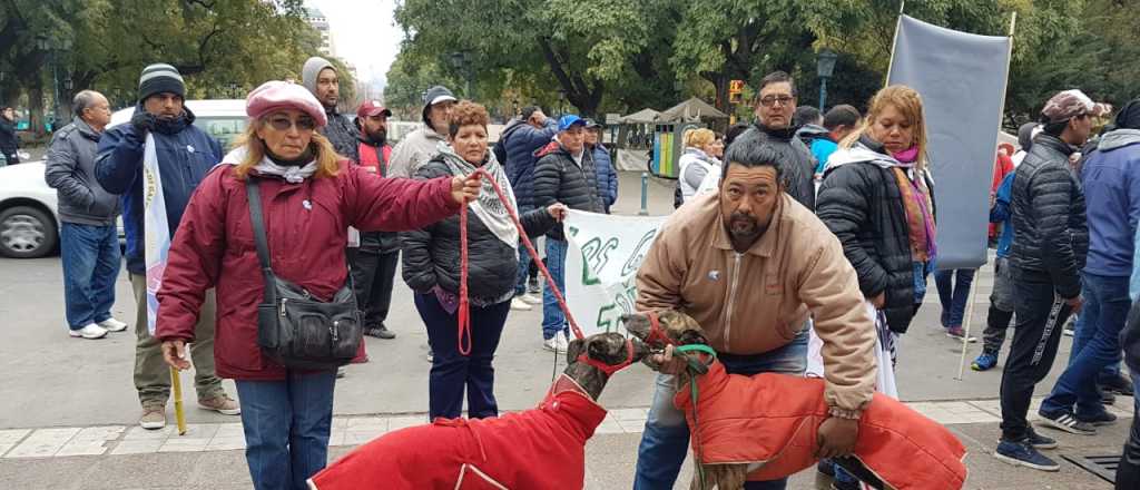 Reclamaron en Mendoza por la legalización de las carreras de galgos 