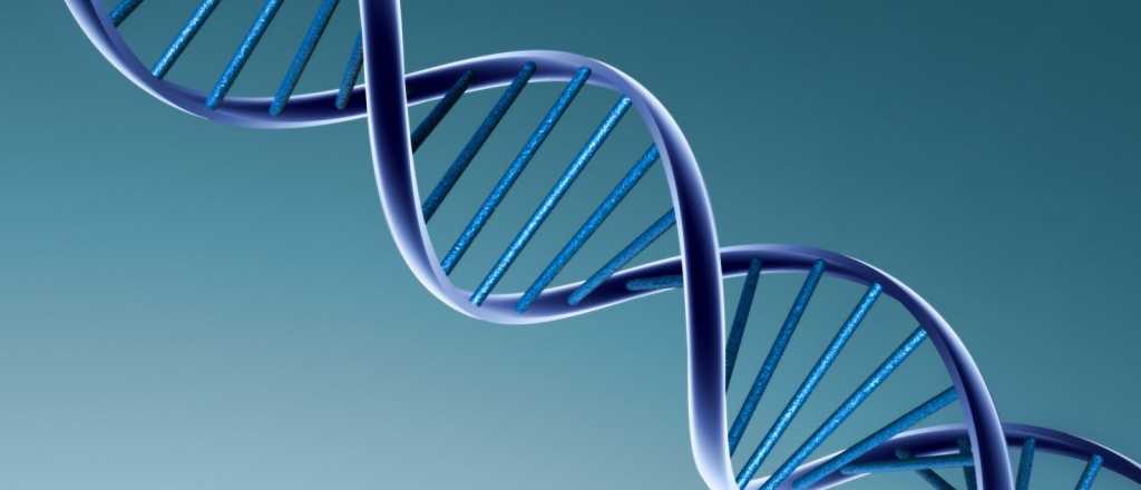 Así funciona el Google Maps del cuerpo humano