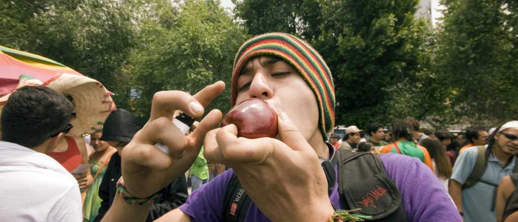 &iquest;Por qu&eacute; los fumadores de marihuana no recuerdan sus sue&ntilde;os?