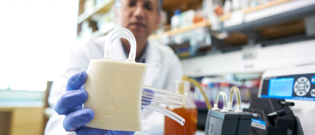 Fue a "Qui&eacute;n quiere ser Millonario" para comprar un ri&ntilde;&oacute;n bi&oacute;nico