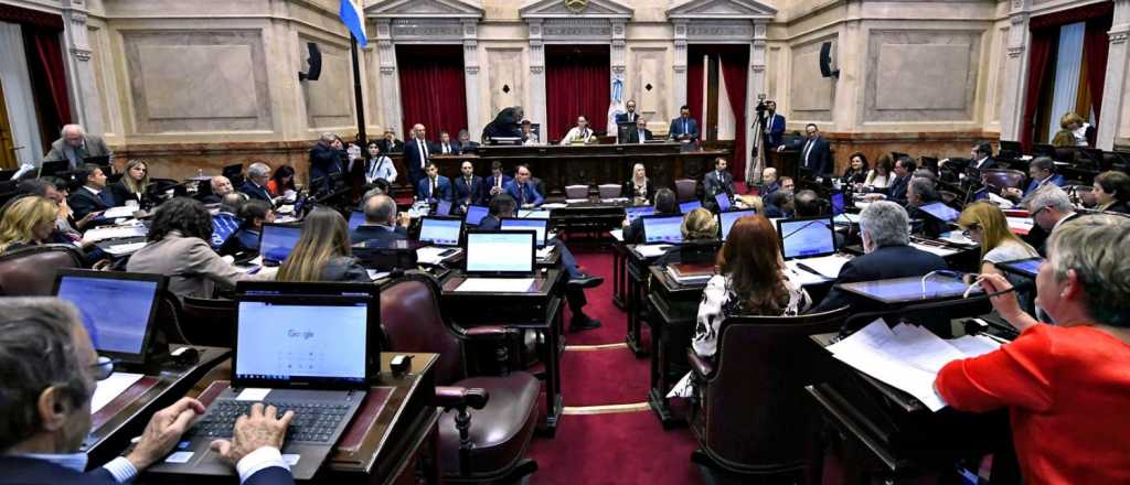 El Senado comenzó a tratar la nueva Ley de Emergencia Alimentaria