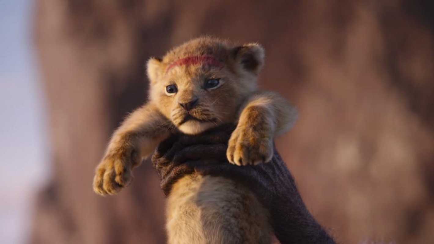El Rey León la vida de Simba no se parece en nada a la película