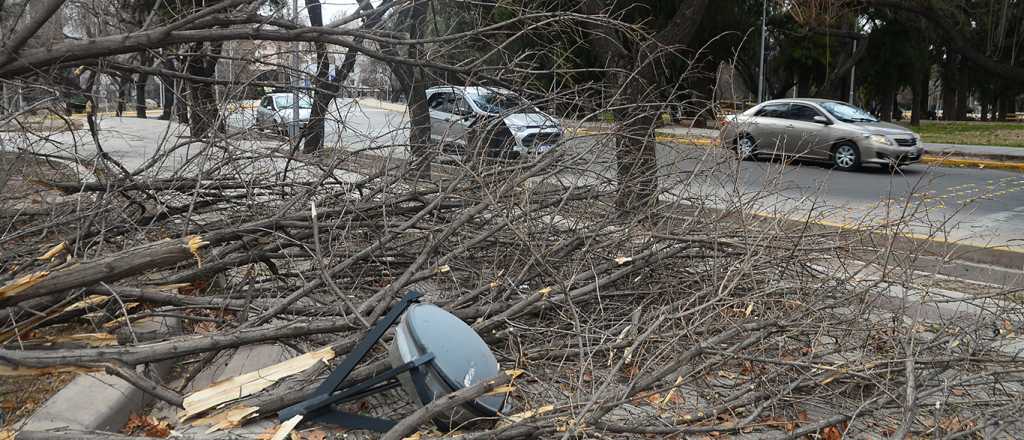 Motociclista murió luego de chocar contra un árbol caído en San Martín