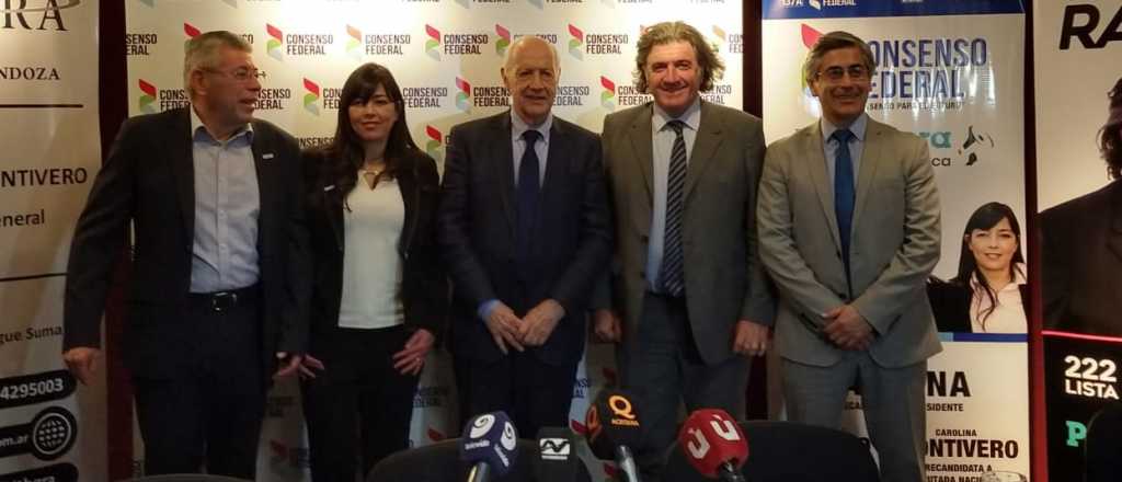 Para Lavagna, "a Mendoza hay que pensarla al margen del pa&iacute;s"