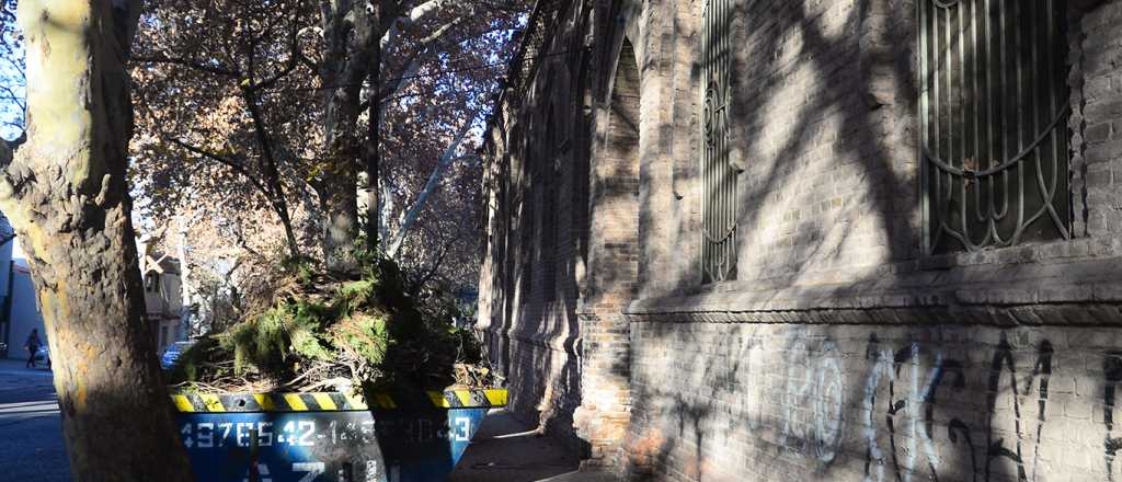 Aseguran que se hizo impacto ambiental por la futura torre de la Quinta