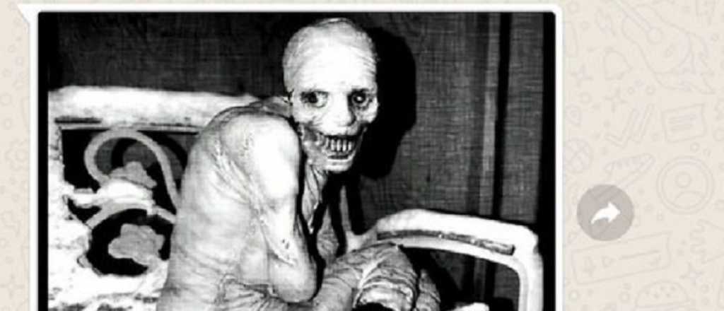 &nbsp;"Soy tu vecino": por qu&eacute; el viral de WhatsApp es un peligro