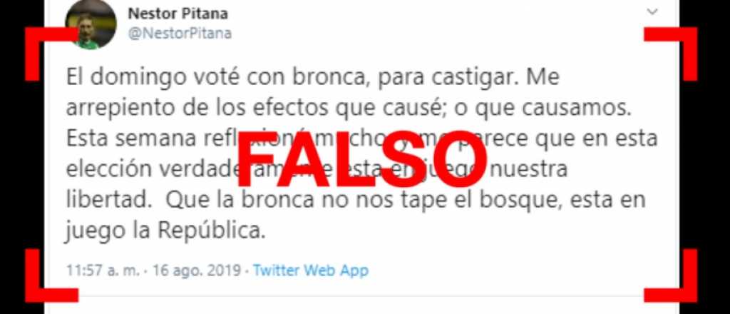 Es falso el tuit de Pitana en donde señala que votó "con bronca" contra el Gobierno