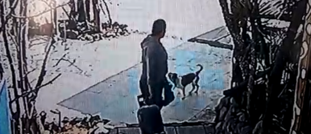 Video: ingresaron a una casa en Tupungato y se llevaron hasta la garrafa