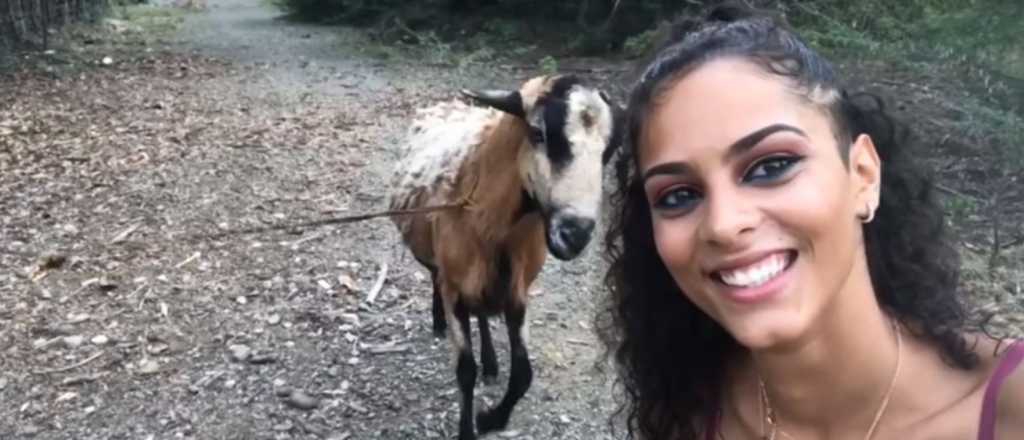 Una cabra embistió a una joven que se sacaba una foto 