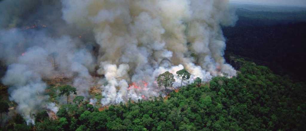 Incendios en el Amazonas: ya se quemaron más de 500 mil hectáreas