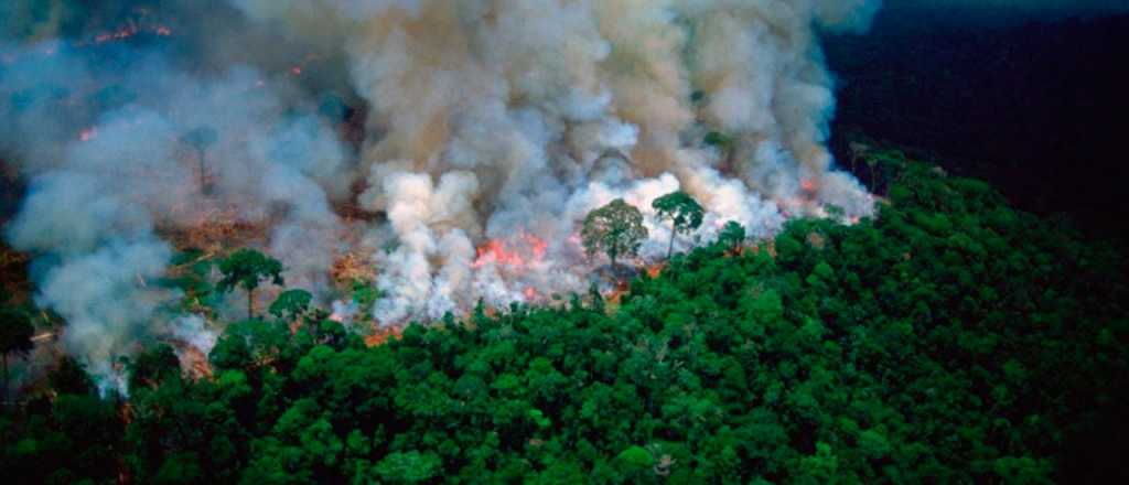 El humo del Amazonas ya llega a la Argentina y tendrá efectos en la salud