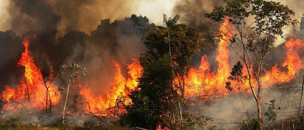 Casi 400 bomberos argentinos se ofrecieron para ir al Amazonas
