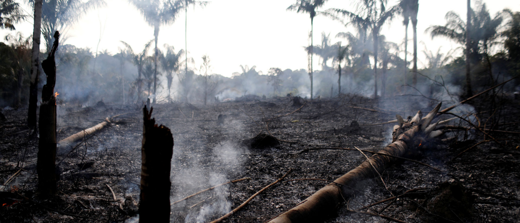 El bombero que irá al Amazonas: "El fuego no se apaga solo con aviones" 