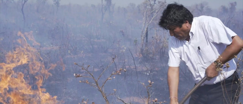 Polémica por las imágenes de Evo Morales apagando incendios