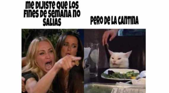 Estos son los mejores memes del gato engañador - Mendoza Post