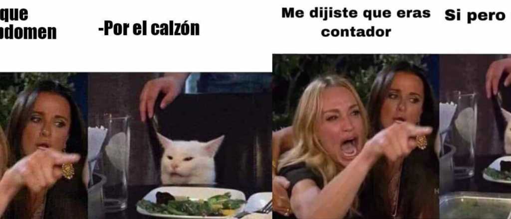 Estos son los mejores memes del gato enga&ntilde;ador