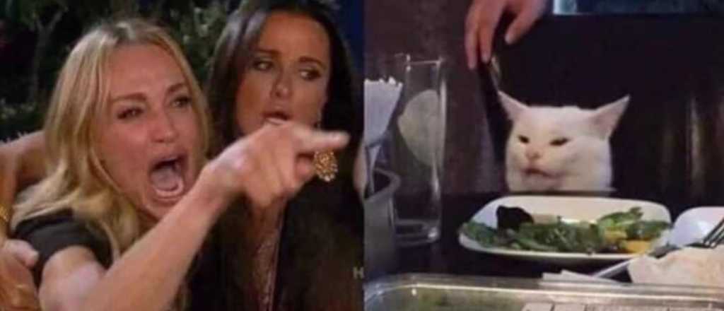 Estos son los mejores memes del gato enga&ntilde;ador