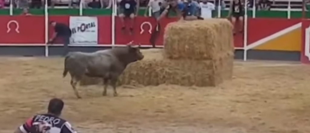 Video: un toro salt&oacute; a la tribuna e hiri&oacute; a 17 personas