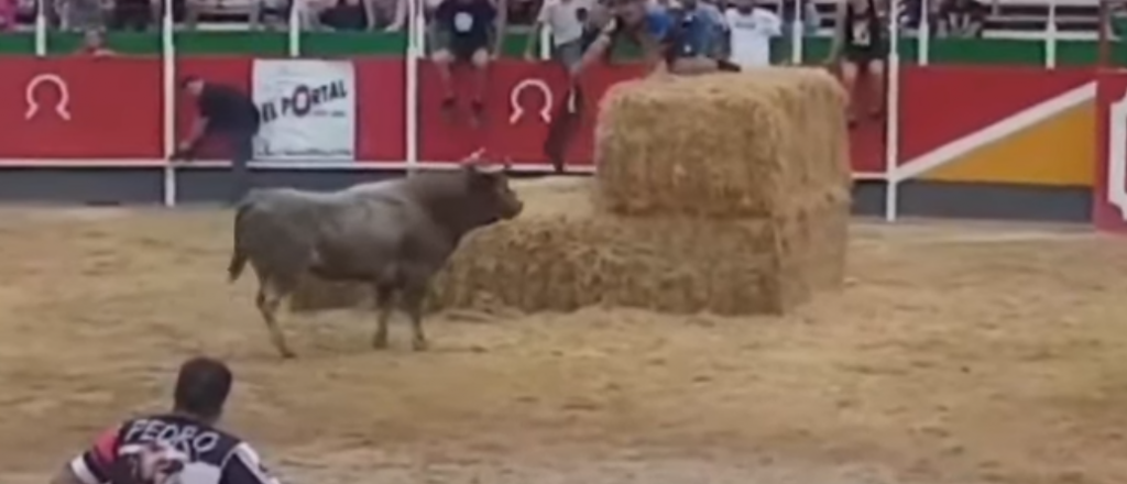 Video: un toro saltó a la tribuna e hirió a 17 personas