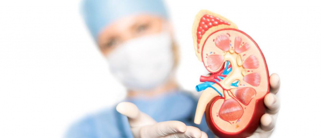 Presentan en Mendoza un novedoso equipo para nefrología