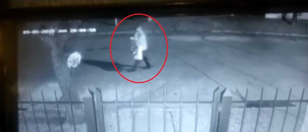 Video: un hombre mató a una mujer al bajar de un micro en Mar del Plata