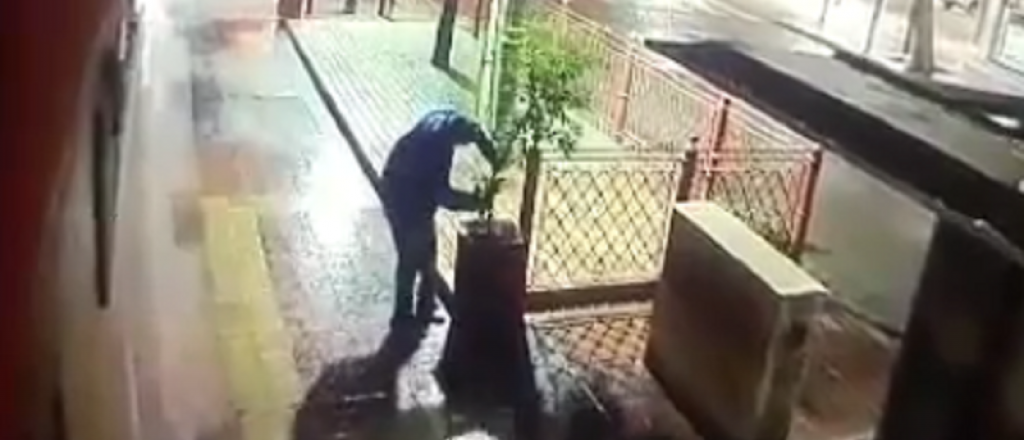 Ins&oacute;lito: quiso robar una planta de un caf&eacute; c&eacute;ntrico y todo qued&oacute; filmado