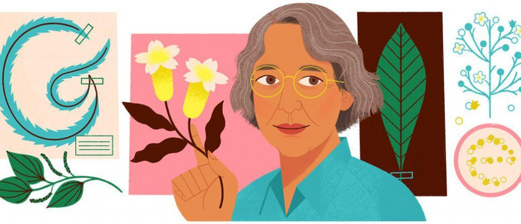 Ynés Mexía: Google le dedica doodle a reconocida exploradora botánica