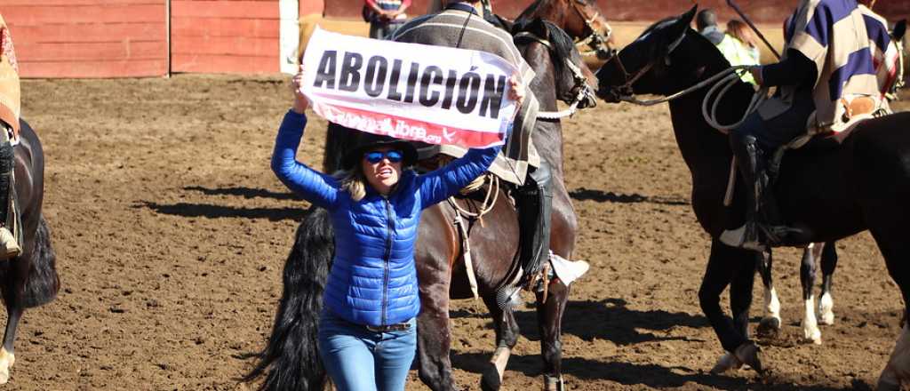 Una modelo argentina interrumpió un rodeo por una protesta animalista