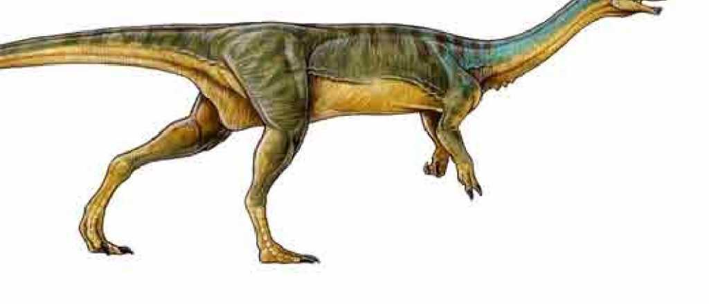 Descubrieron en Chile uno de los dinosaurios más extraños del mundo