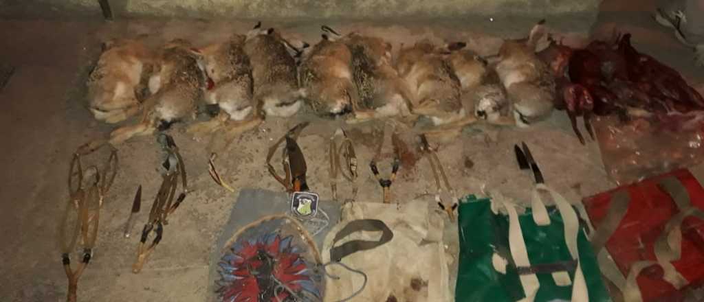 Detuvieron a cuatro hombres por haber cazado liebres en Tupungato