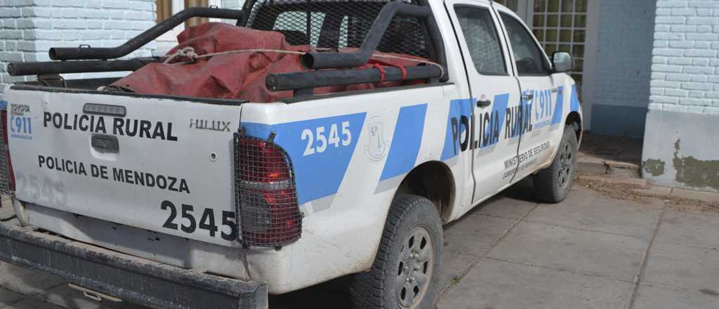Detuvieron a dos hombres en Malargüe por haber faenado a un avestruz