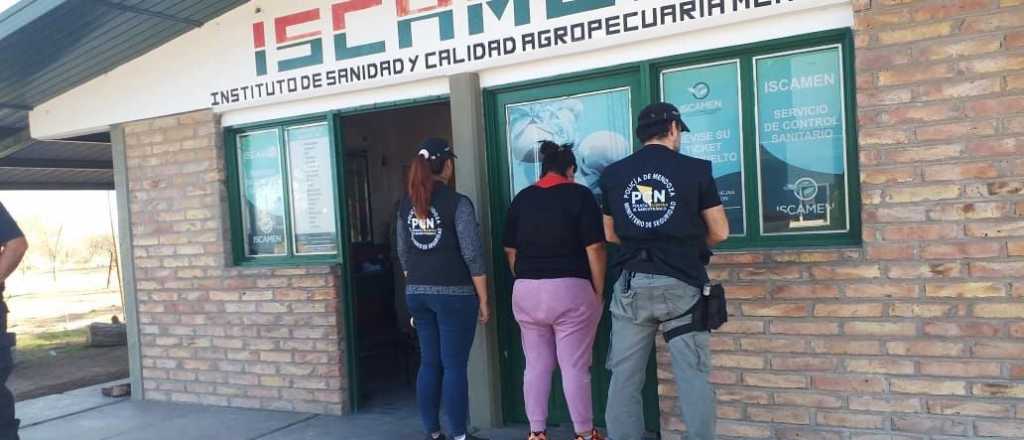 Una mujer fue arrestada con medio kilo de coca&iacute;na en General Alvear