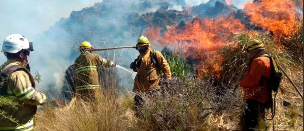 Incendios en Córdoba: denuncian que están vendiendo las tierras quemadas 