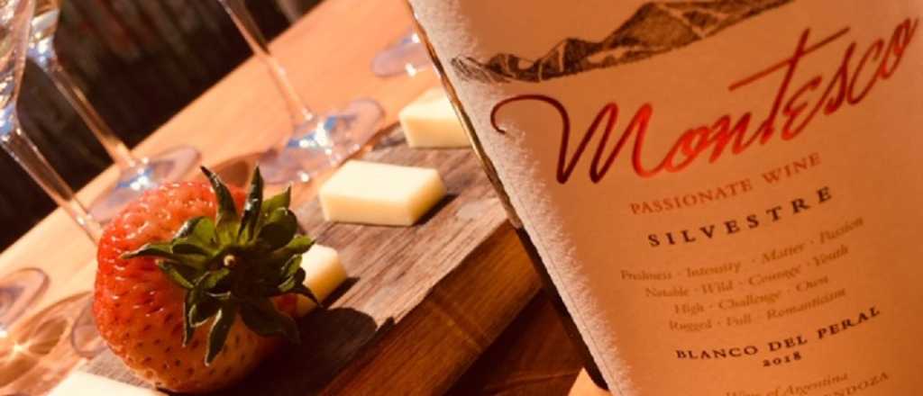 Visitando Bodegas: Passionate Wine, donde la magia encontró su lugar