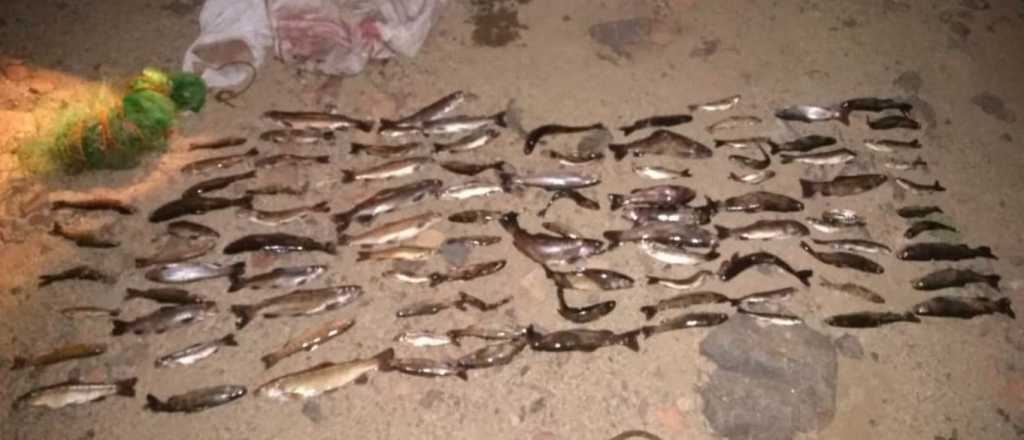 Pesca ilegal: 90 truchas fueron secuestradas en el Manzano Histórico