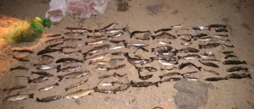 Pesca ilegal: 90 truchas fueron secuestradas en el Manzano Histórico