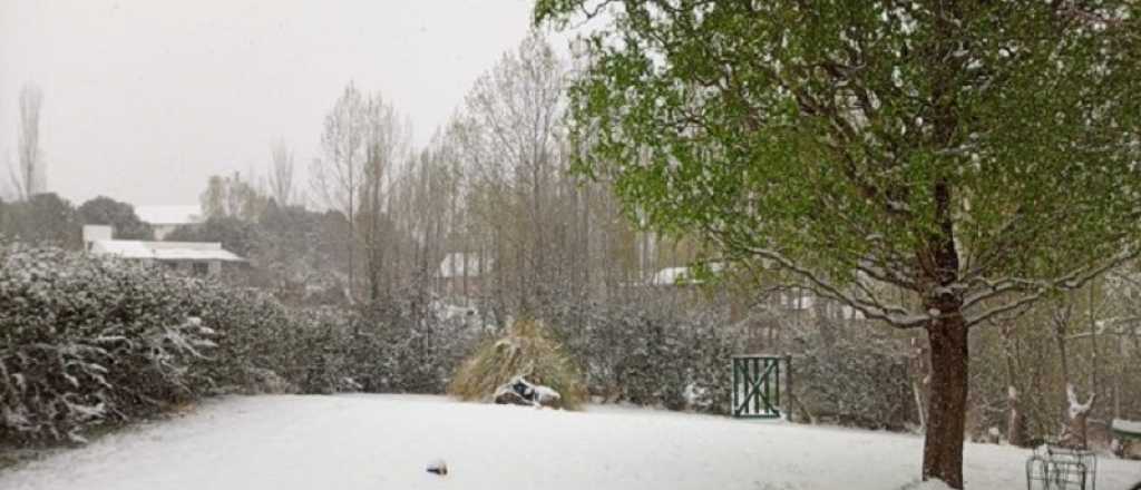 Postales de la sorpresiva nevada en Mendoza