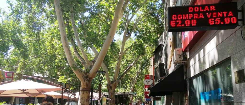 Dólar hoy: en Mendoza ya se vende a $65