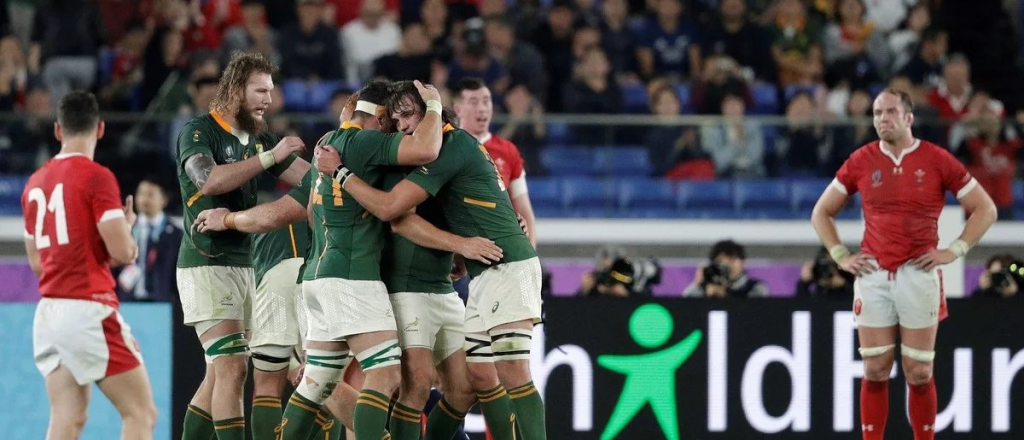 Mundial de rugby: Sudáfrica derrotó a Gales y avanzó a la final
