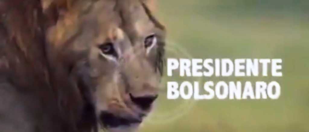 Polémico video de Bolsonaro contra Argentina, la ONU y feministas